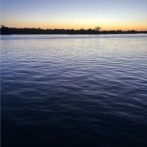 Meet your Posher, Lulu